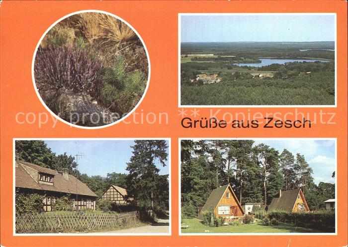 Zesch Maerkirsche Flora Alte Forsterei