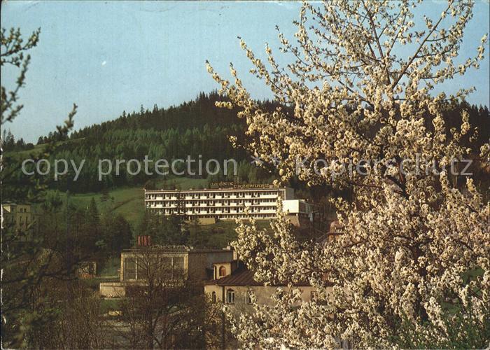 Krynica Gorska Sanatoirum Lesnik-Drzewiarz