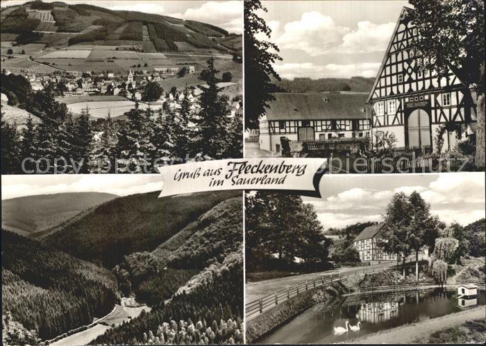 Fleckenberg Teilansichten Schwanenteich