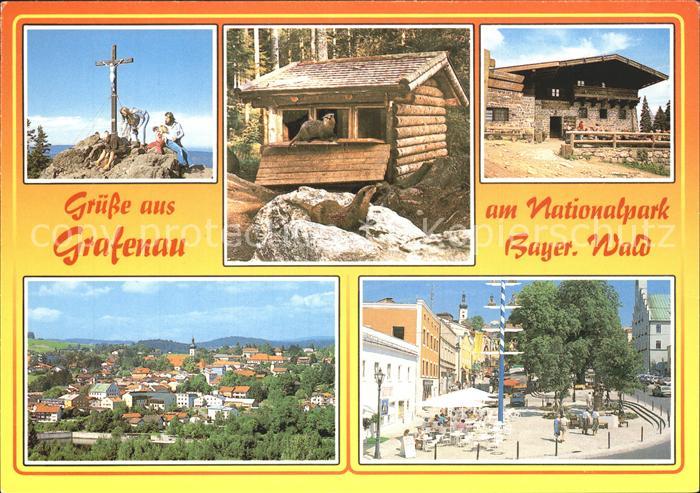 Grafenau Niederbayern Gipfelkreuz Nationalpark Bayer Wald Totalansicht Ortsansic