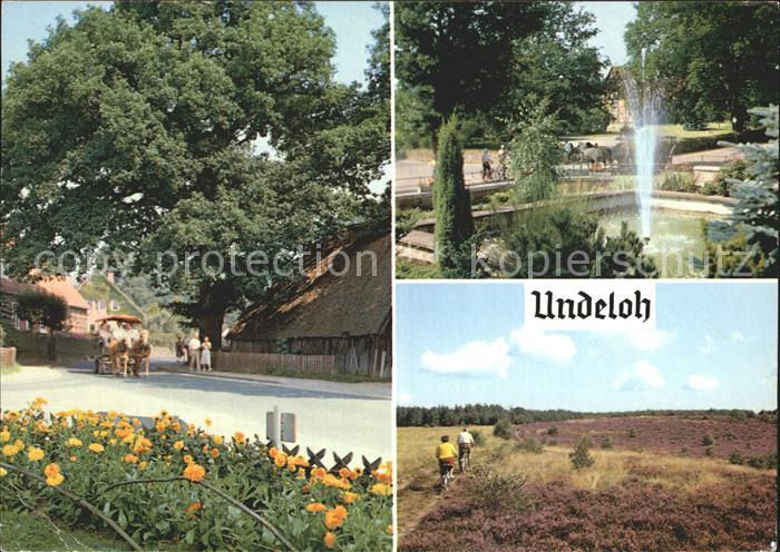 Undeloh Dorfmotiv Park Springbrunnen