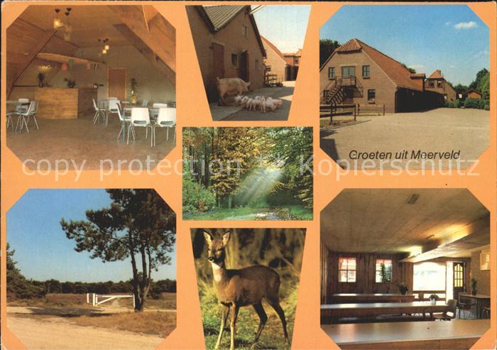 Amersfoort Kampeerboerderij Meerveld Teilansichten