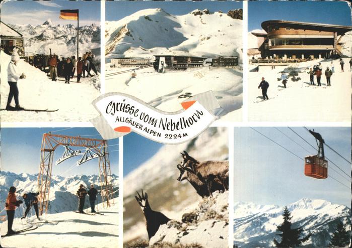 Oberstdorf Nebelhorn Bahn Gipfelhuette Bergstation Schlepplift Gemsen