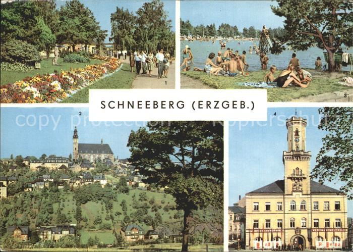 Schneeberg Erzgebirge Filzteich Kirche Rathaus