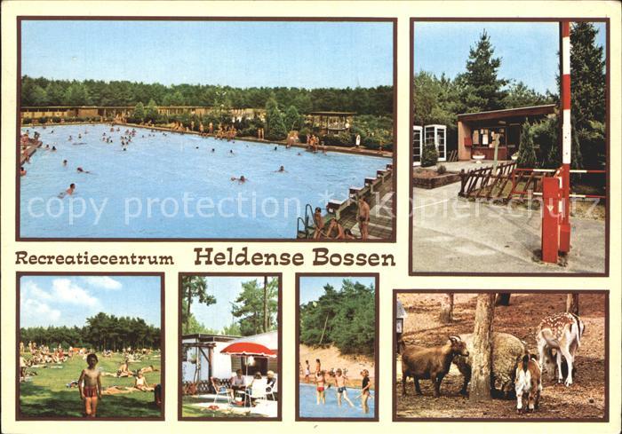 Helden Netherlands Recreatiecentrum Heldense Bossen Schwimmbad Liegewiese Tierpa