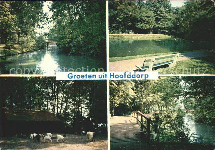 Hoofddorp Park Teich Ziegen Bruecke