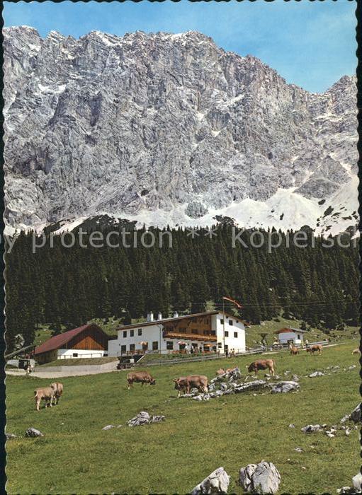 Ehrwald Tirol Ehrwalder Alm