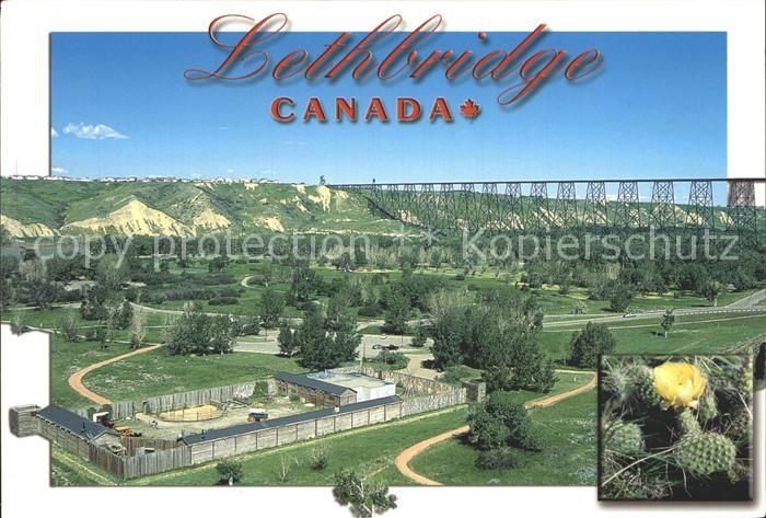 Lethbridge Fliegeraufnahme