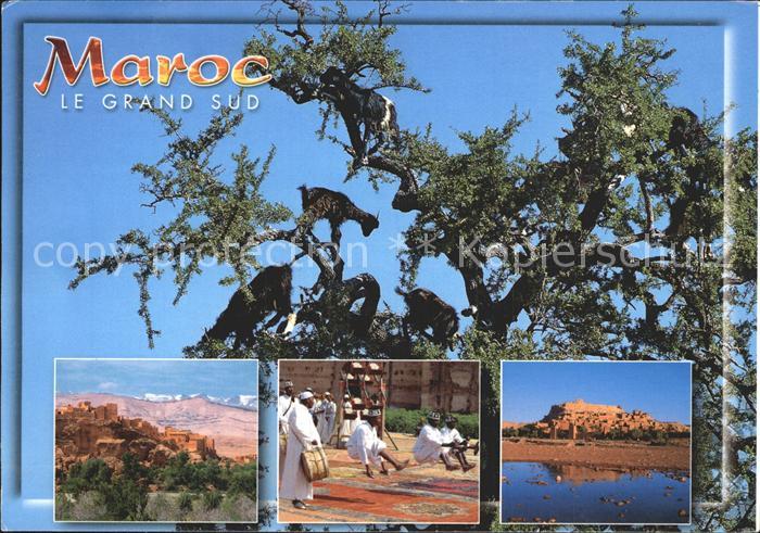 Maroc Marokko Le Grand Sud