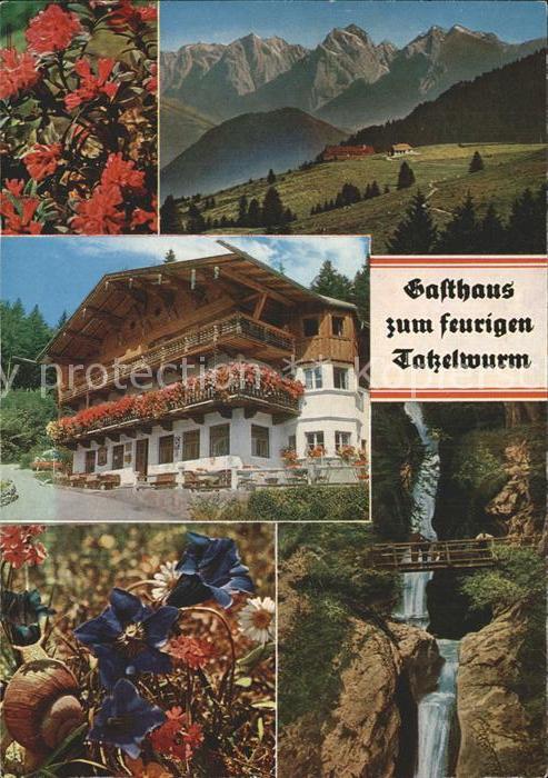 Bayrischzell Gasthaus zum feurigen Tatzelwurm
