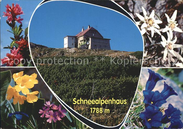 Kapellen Steiermark Schneealpenhaus