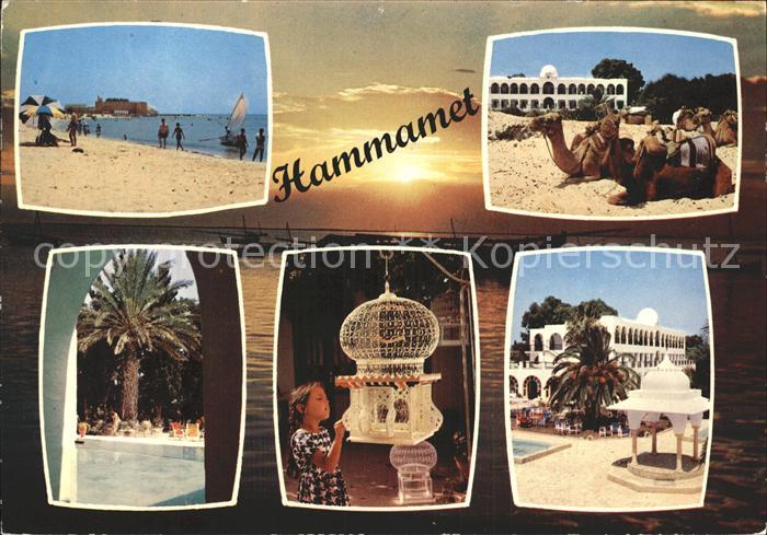 Hammamet Kamele Meer Palme