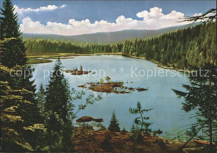 Bayerischer Wald Kleiner Arbersee Schwimmende Inseln