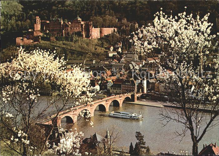 Heidelberg Neckar Mandelbluete Schloss Alte Bruecke