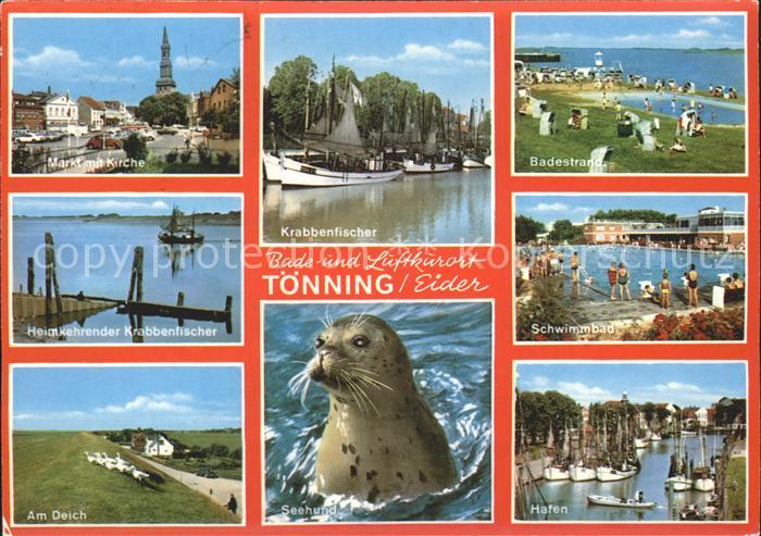 Toenning Nordseebad Deich Seehund Hafen Strand