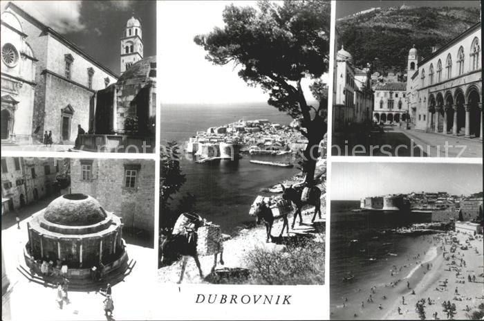 Dubrovnik Ragusa Meer Strand Ansicht