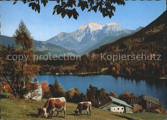 Hintersee Berchtesgaden Kehlstein Goell Brett