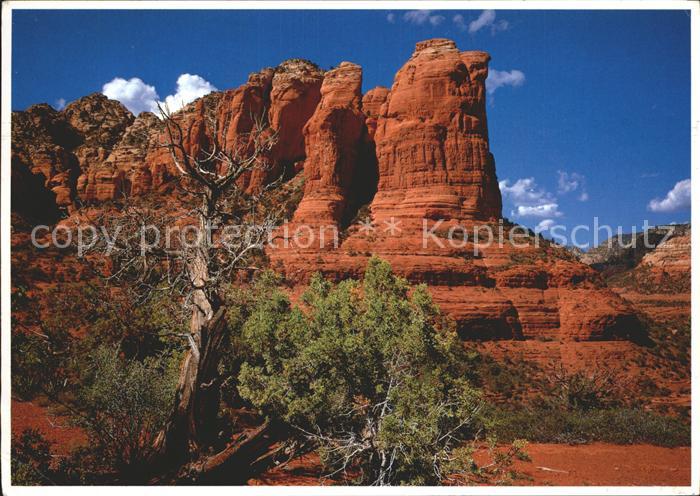 Sedona Coffee Pot Rock
