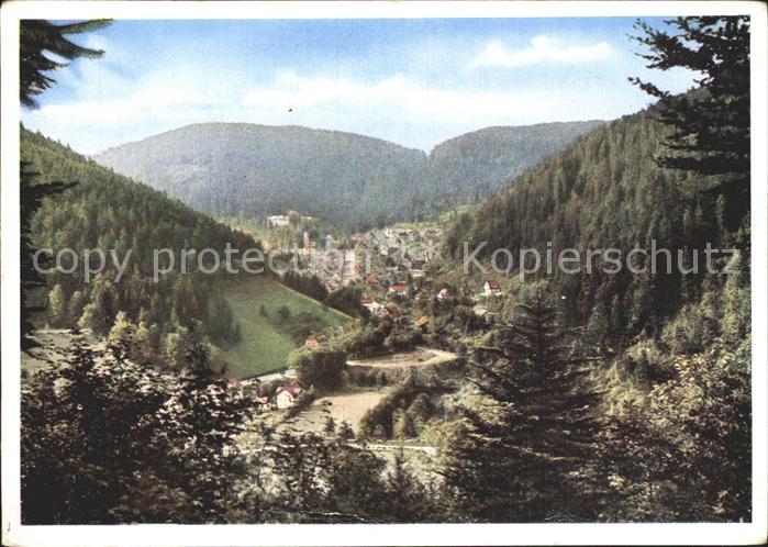 Triberg Schwarzwald Panorama
