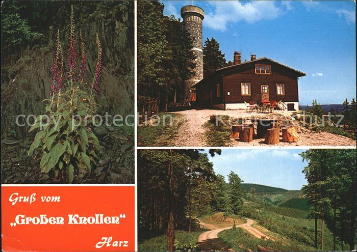 Herzberg Harz Grosser Knollen Aussichtsturm
