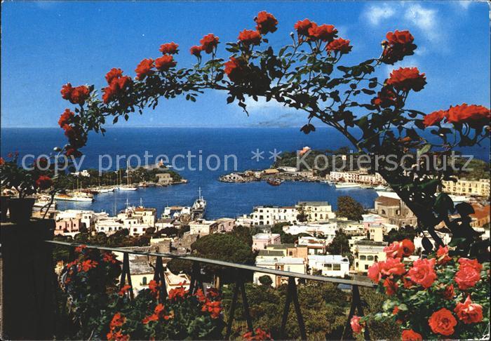 Ischia Hafen