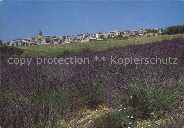 Croix-Valmer La Vieux Village Provencal