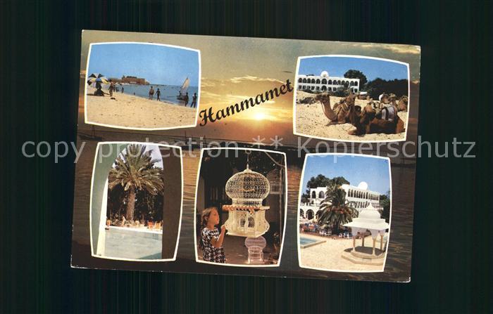 Hammamet Strand Vogelkaefig Kamele
