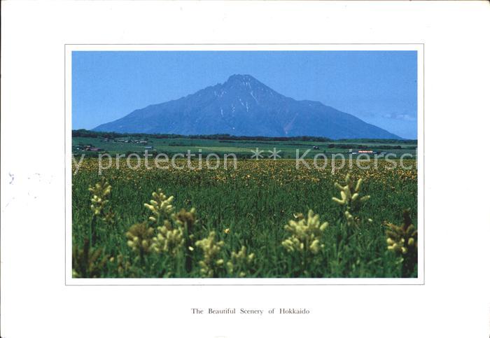 Hokkaido Mont Rishiri Sarubetsu Wiesen