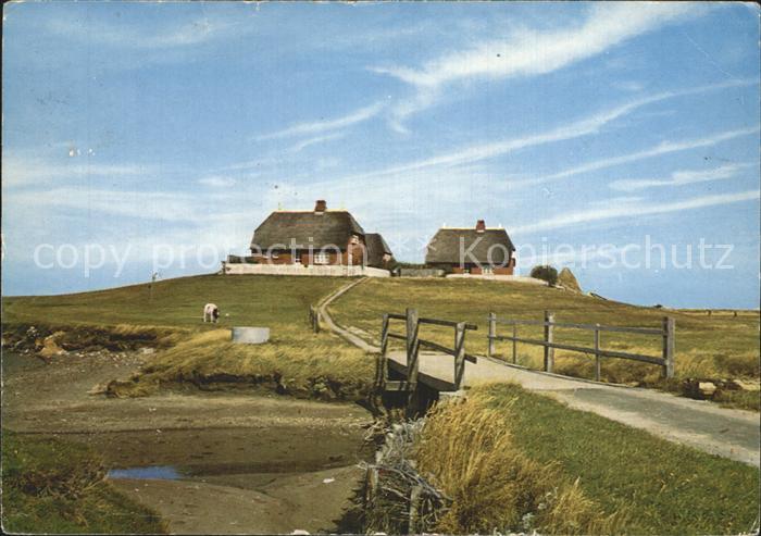 Hallig Hooge Westerwarft