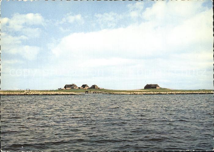 Hallig Groede Kirchwarft Knudswarft