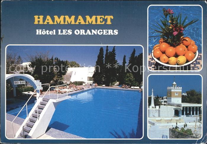 Hammamet Hotel Les Orangers Swimmingpool