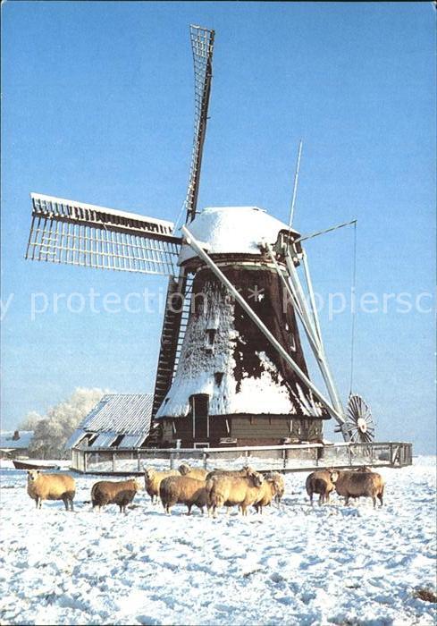 Wormer Windmuehle im Schnee