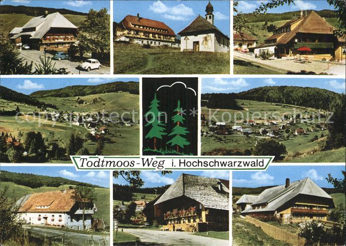 Weg Todtmoos Panorama Schwarzwaldhaeuser Gesamtansicht