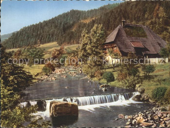 Hornberg Schwarzwald Schwarzwald Bauernhaus