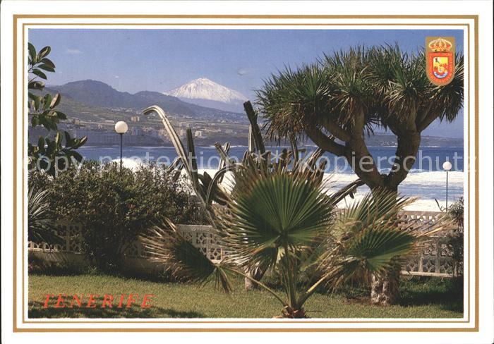 Bajamar Tenerife El Teide