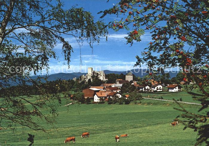Weissenstein Regen Burgruine