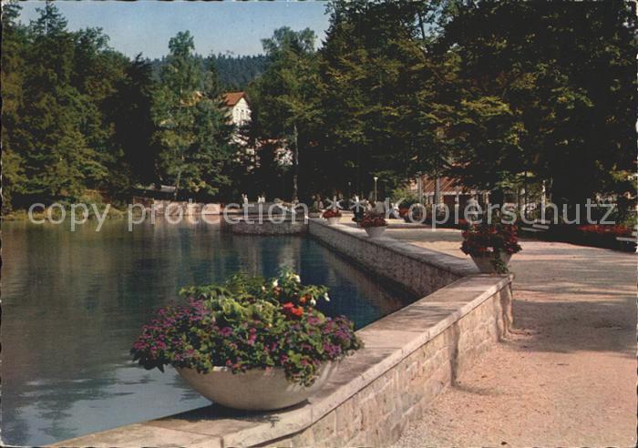 Bad Sachsa Harz Am Schmelzteich