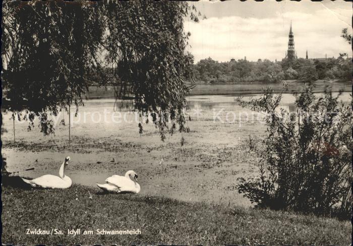 Zwickau Sachsen Idyll am Schwanenteich