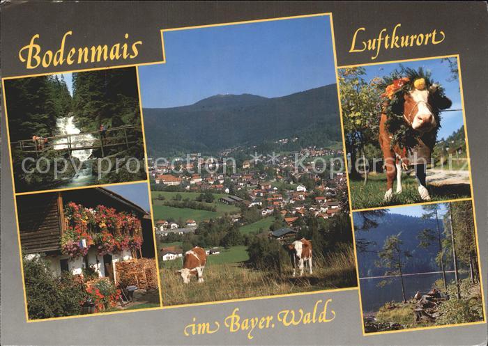 Bodenmais Kuh Wasserfall Stadtansicht