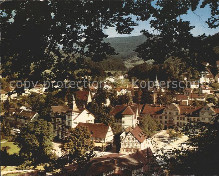 Bad Herrenalb Stadtansicht