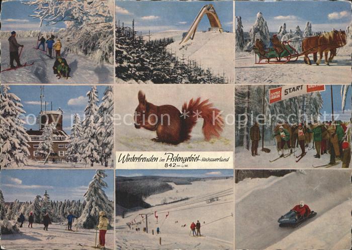 Winterberg Hochsauerland Astengebiet Skisprungschanze Kutsche Eichhoernchen