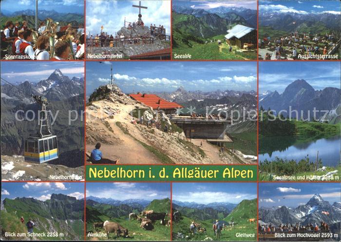 Oberstdorf Nebelhornbahn Almkuehe Schneck Gleitweg