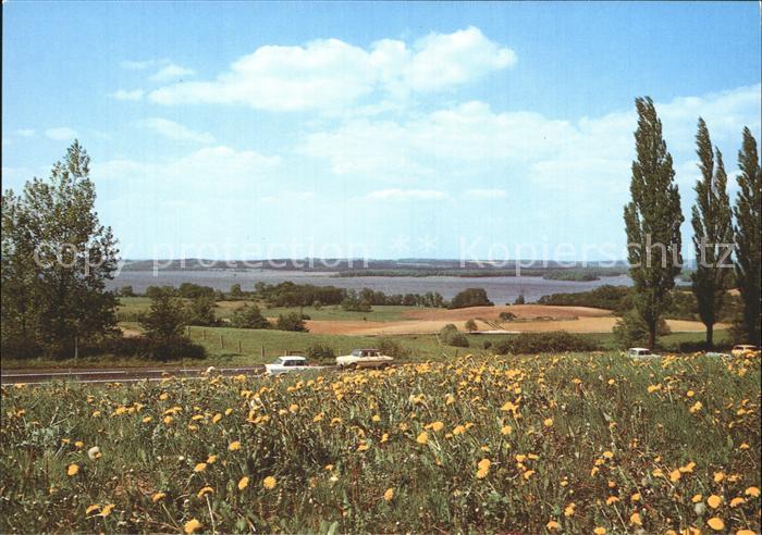 Neubrandenburg Lieps Usadel Loewenzahnwiese Trabant