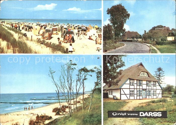 Darss Region Ostsee Ostseebad Prerow Weststrand Luftkurort