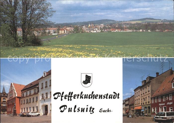 Pulsnitz Sachsen Pfefferkuchenstadt Eierberg Julius Kuehn Platz Rathaus Rietsche