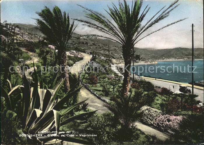 Bordighera Giardini del Capo Palmen