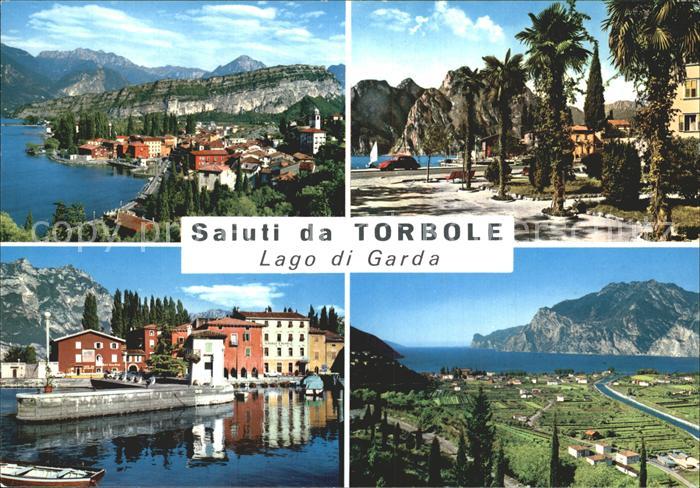 Torbole Lago di Garda Hafen Palmen