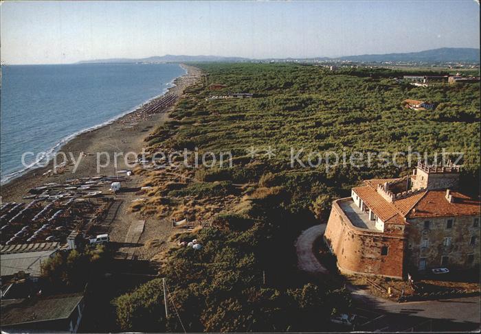 Marina di Bibbona Strand Pinienhain Fliegeraufnahme