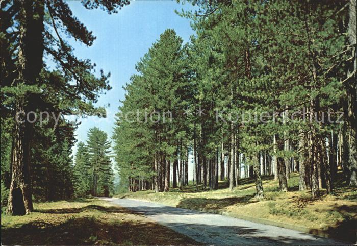 La Sila Camigliatello Fossiata