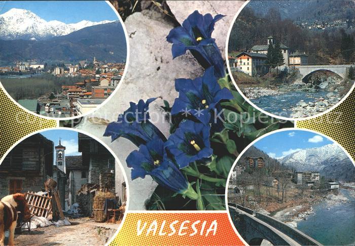 Valsesia Carcoforo Pony Blume Bruecke